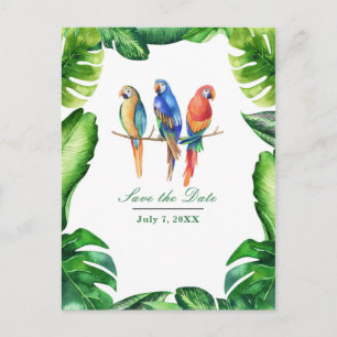 Carte Postale Faire-part Perroquets Tropicaux Oiseaux & Feuilles Enregistre