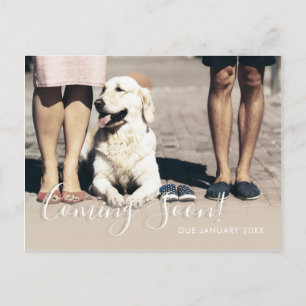 Carte Postale Faire-part Photo de famille de chien Bientôt Grossesse bébé b