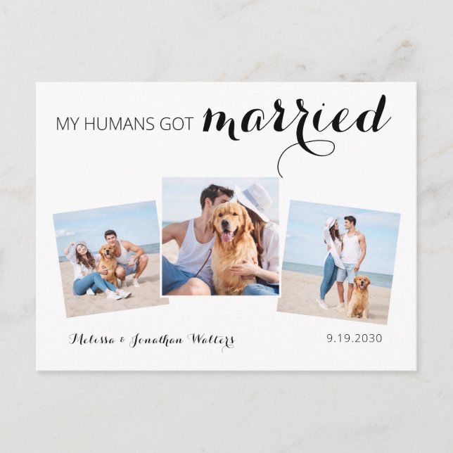 Carte Postale Faire-part Photo moderne Collage Chien Mariage Elopement (Devant)