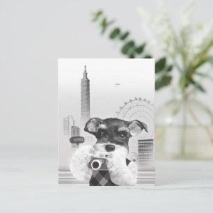 Carte Postale Faire-part Photographe Urbain : Schnauzer à Taipei City