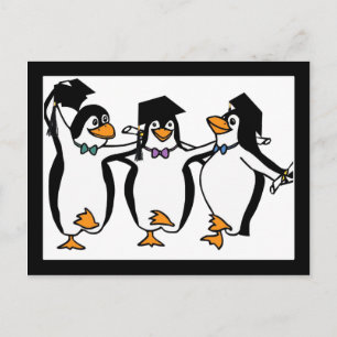 Carte Postale Faire-part Pingouins diplômés