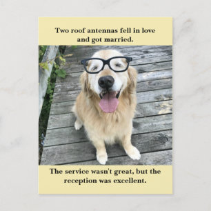 Carte Postale Faire-part Plaisanterie drôle Meme de réception de mariage de