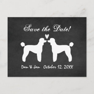 Carte Postale Faire-part Poodles Standards Tableau Mariage Économisez la Da