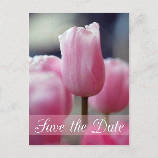 Carte Postale Faire-part Printemps rose fleur de tulipe mariage enregistrer (Devant)