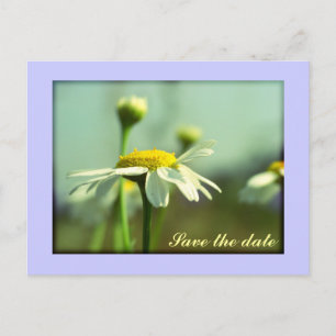 Carte Postale Faire-part Réservez la date