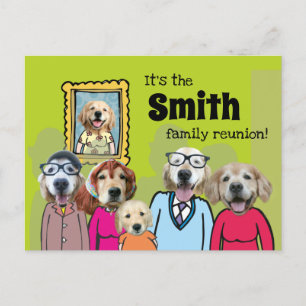 Carte Postale Faire-part Réunion de famille de drôle de chien Retriever dor