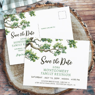 Carte Postale Faire-part Réunion Familiale Branche Arborescence Familiale E