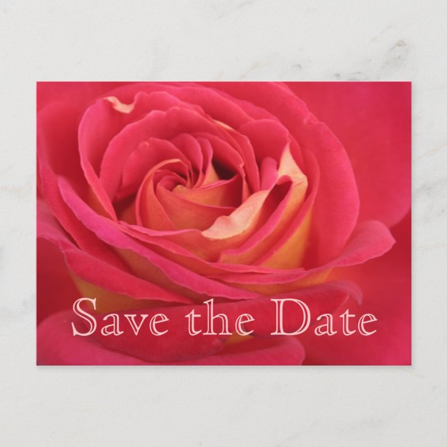 Carte Postale Faire-part Rose Enregistrez la date 60e anniversaire - (Devant)