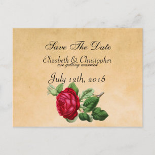 Carte Postale Faire-part Rose rouge vintage sur parchemin Faux Enregistrer 