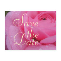 Rose Très Rose pour Sauvegarder la Date
