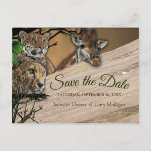 Carte Postale Faire-part Safari Outdoor Enregistrer la date