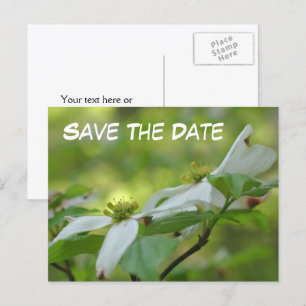 Carte Postale Faire-part Sauver la date Photo de fleur de cornouiller