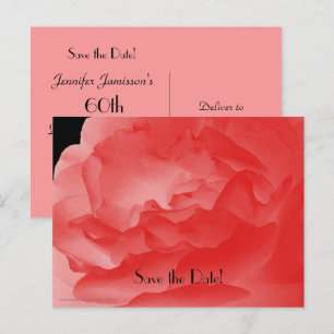 Carte Postale Faire-part Sauvez la Date Fête d'anniversaire 60 ans Rose Cor