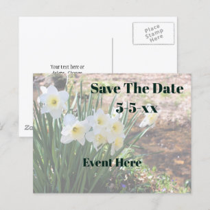Carte Postale Faire-part Sauvez la date Fleurs de narcisse blancs