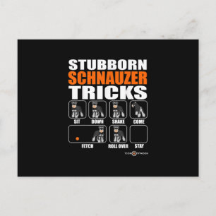 Carte Postale Faire-part Schnauzer têtu Tricks drôle Schnauzer cadeau