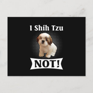 Carte Postale Faire-part Shih Tzu Aimer Cute Funny Shih Tzu