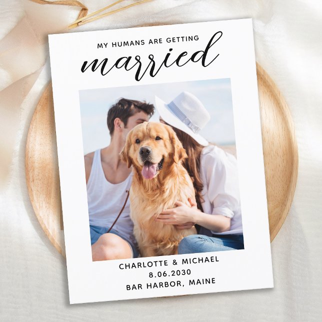 Carte Postale Faire-part Simple Chien Photo Mariage Enregistrer La Date (Créateur téléchargé)