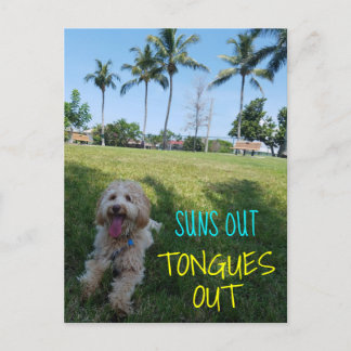 CARTE POSTALE FAIRE-PART SUNS OUT TONGUES OUT2