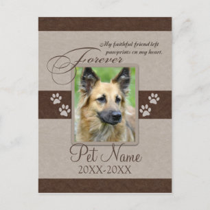 Carte Postale Faire-part Sympathie pour toujours aimée d'animal familier