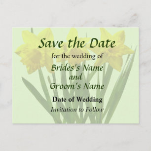 Carte Postale Faire-part Trio de jonquilles, réservez la date