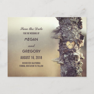 Carte Postale Faire-part vieux arbre rustique enregistrer la date