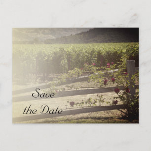 Carte Postale Faire-part Vignoble et Rose clôture mariage Enregistrer la da