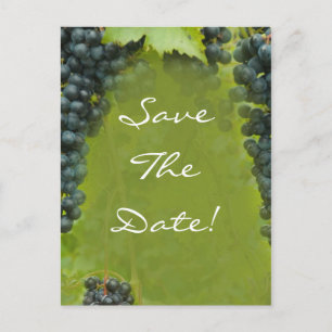 Carte Postale Faire-part Vignoble Thème Mariage Enregistrer La Date