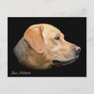 Carte Postale Faire-part Yellow Lab Portrait Nouvelle adresse