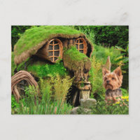 Yorkie Nouvelle adresse