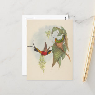 Carte Postale Fairy Topaz John Gould