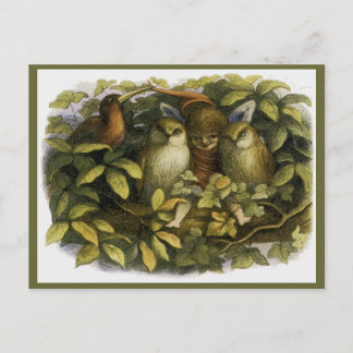 Carte Postale "Fairy with Owls" de Doyle