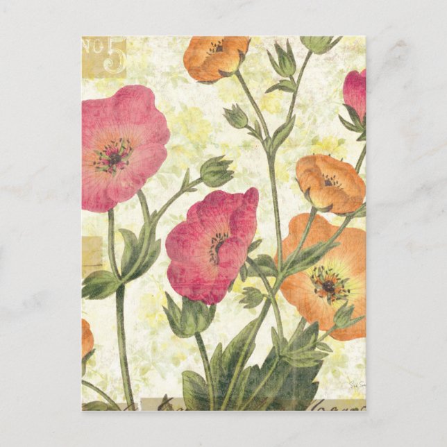 Carte Postale Faisceaux colorés (Devant)