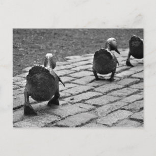 Carte Postale Faites la manière pour des canetons