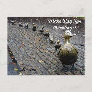 Carte Postale Faites place aux petits canards !