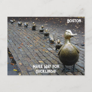 Carte Postale Faites place aux petits canards !