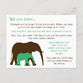 Carte Postale Faits amusants sur les éléphants