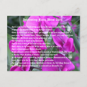 Carte Postale Faits intéressants sur avril
