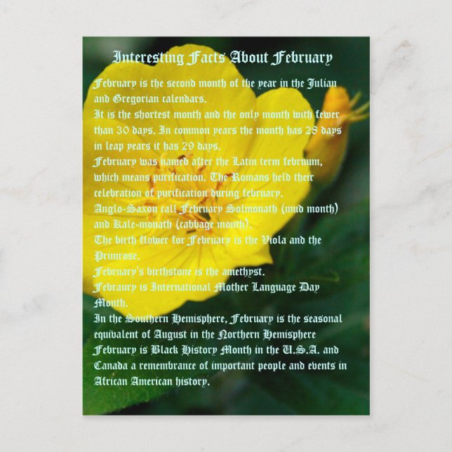 Carte Postale Faits intéressants sur Février (Devant)
