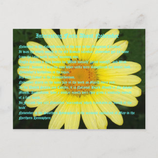 Carte Postale Faits intéressants sur Novembre