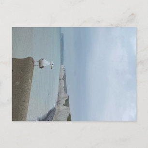 Carte Postale Falaises de Seagul et de blanc de Sept Soeurs, Roy