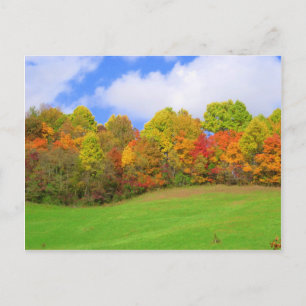 Carte Postale fall colors