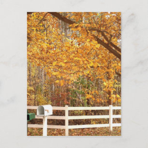 Carte Postale Fall Day postcard
