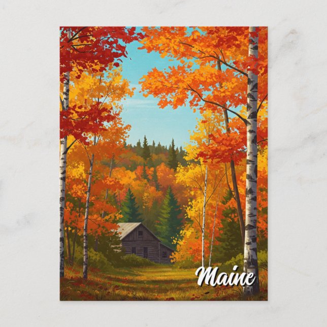 Carte Postale Fall Foilage Maine Travel (Devant)