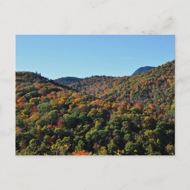 Carte Postale Fall Foliage le long de Blue Ridge Parkway, NC (Devant)