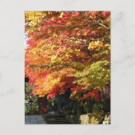 Carte Postale Fall lined street, Nikko, Japon