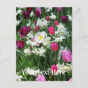 Carte Postale Falln Romantique Printemps matin