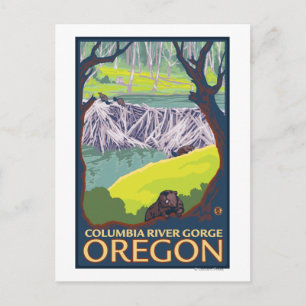 Carte Postale Famille Beaver - Columbia River Gorge, Oregon