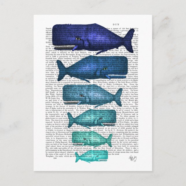 Carte Postale Famille Blue Whale (Devant)