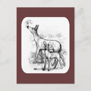 Carte Postale Famille de cerfs