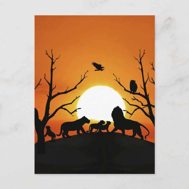Carte Postale Famille de lions au coucher du soleil Afrique (Devant)